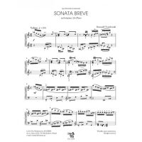 Sonata breve 2
