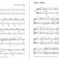 Poligrajki (四手聯彈) 7